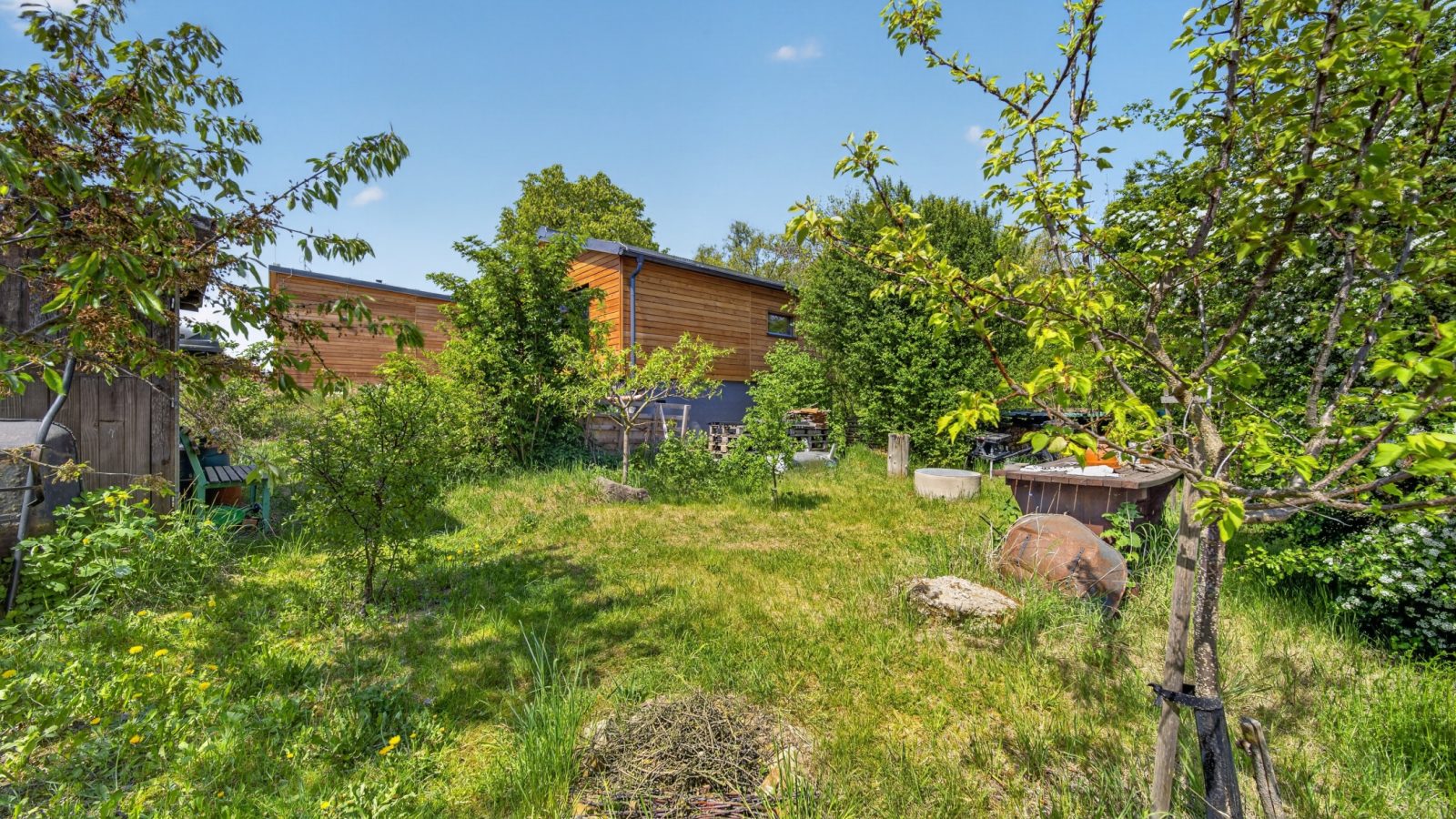 33_Lipova