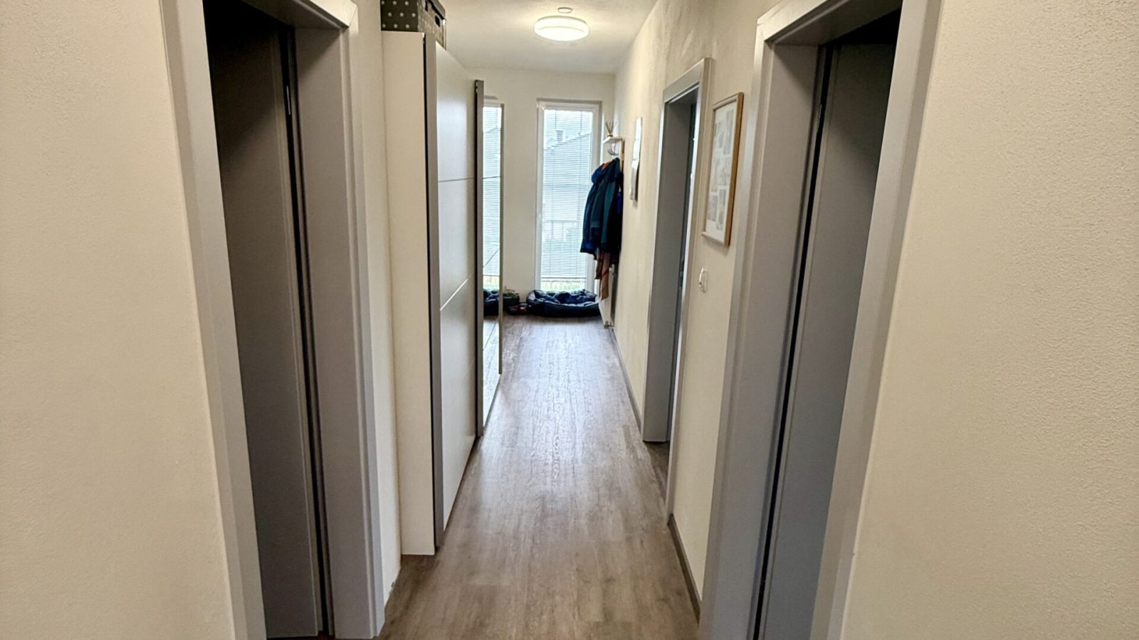 Kopie souboru IMG_9321